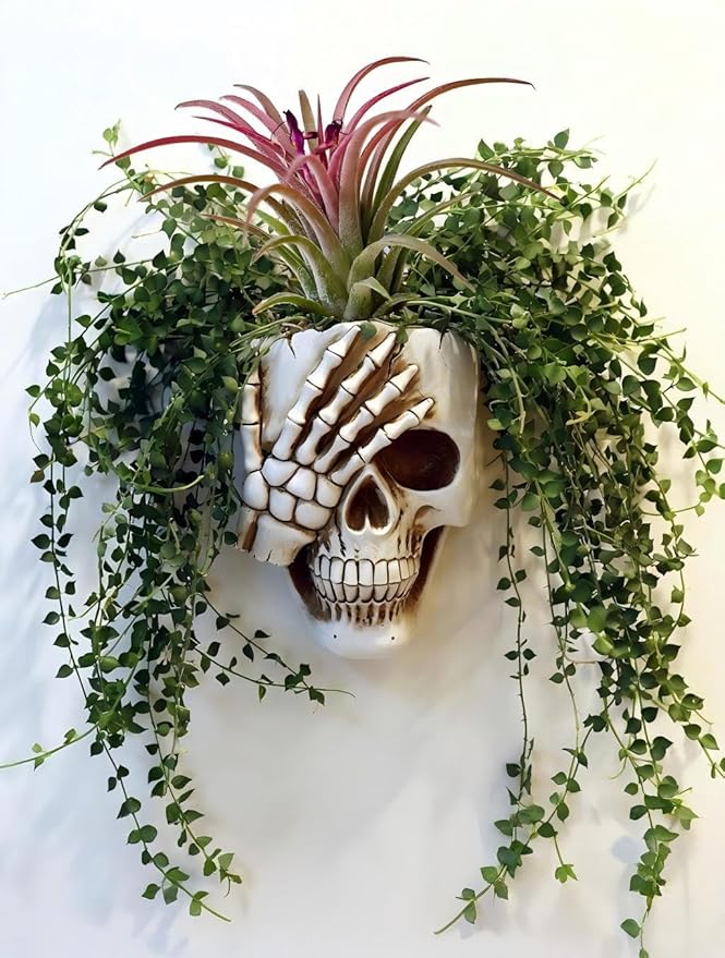 Resin Air Plant Holders,Tilandsia Container,Gothic Skeleton Planter,Halloween Plant Pot,Tillandsia Pot, Skull Table Top Display Planters for Air Plants and Other Mini Plants (White No.3, 7*5*3.2'')