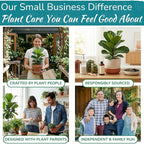 Houseplant Resource Center Fiddle Leaf Fig 3-in-1 Soil Moisture Meter for Plants – Best Indoor Plant Water Meter for Potted Houseplants - Light & Moisture Sensor Probe for Optimal Growth