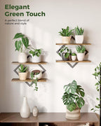 Bamworld Floating Shelves for Wall Planters for Indoor Plants Hanging Shelves Plant Holder Wall Decor Plant Stand Indoor for Plant Hangers Indoor for Living Room Bedroom Bathroom 2-Pack Brown Rhombus