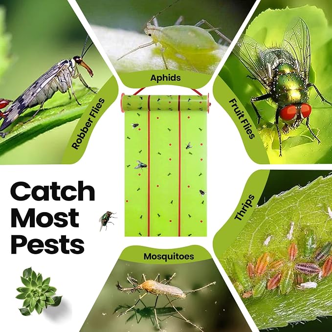 Qualirey Giant Sticky Fly Traps, Fly Strips for Indoor Outdoor Hanging Flying Tapes Non Toxic Ribbon Fruit Gnat Killer for Mosquito Plants House Horse Stable(59.06ft,Fluorescent Green,2 Pcs)