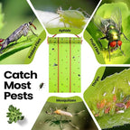 Qualirey Giant Sticky Fly Traps, Fly Strips for Indoor Outdoor Hanging Flying Tapes Non Toxic Ribbon Fruit Gnat Killer for Mosquito Plants House Horse Stable(59.06ft,Fluorescent Green,2 Pcs)