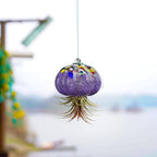 H&D HYALINE & DORA Hanging Hand Blown Art Glass Jellyfish Air Planter Terrarium Decor for Garden Porch Windowsill (No Plants)