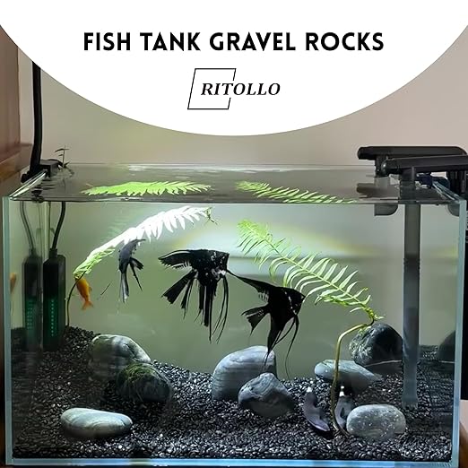 RITOLLO 6lb Black Pebble Rocks 3/8-1 Inch Polished Natural Aquarium Gravel Decorative Fish Tank Rocks Garden Landscaping Decor