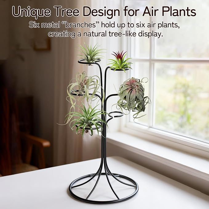 Air Plant Holder Iron Tree Stand Metal Air Plant Display with 6 Rings, Round Base Tillandsia Holder for Home Office Tabletop Decoration (Plants Not Included)