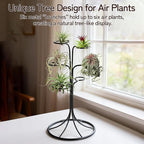 Air Plant Holder Iron Tree Stand Metal Air Plant Display with 6 Rings, Round Base Tillandsia Holder for Home Office Tabletop Decoration (Plants Not Included)