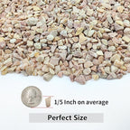 YISZM 10LB Succulent and Cactus Gravel Pebbles, 1/5 Inch Natural Decorative Polished Stones, River Rocks for Plants, Vases, Aquariums, Terrarium and Outdoor Gardening,Peach
