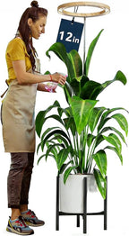 12" Grow Lights for Large Indoor Plants, Full Spectrum Tall Plant Grow Lights Indoor,Height Adjustable 15"-65",Timer Auto On/Off 3/9/12H,9 Brightness,Led Halo Grow Light for House Plants, Wood Grain
