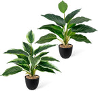 2 Pack Artificial Potted Plants, 16" Fake Plants Indoor in Black Pots for Home Bathroom, Office Desk, Shelf - Realistic Faux Greenery for Living Room, Kitchen, Farmhouse Decor