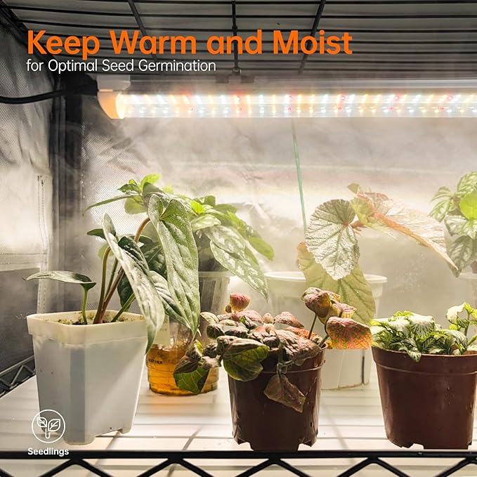 Bstrip Indoor Greenhouse with Grow Light, 4 Tier Plant Shelf with Oxford Fabric Grow Tent & Timer for Indoor Plant , Mini Greenhouse for Spring Seed Starting, Vegetables, Plant Growth, 23.6"x13.8"x59"