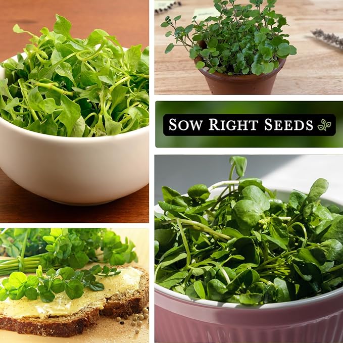 Sow Right Seeds - Watercress Seeds for Planting - Non-GMO Heirloom Packet with Instructions to Plant and Grow Home Garden - Fast-Growing Aquatic Vegetable with Edible Leaves - Fresh and Delicious