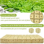 Halatool 1 Inch Rockwool Cubes Garden Rock Wool Stonewool Grow Cubes Starter Plugs for Hydroponics Soilless Cultivation Clone Plants Germination Start (6 Sheets, 300 Plugs in Total)