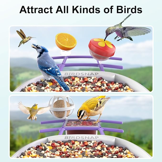 birdsnap® PAV-Bird Feeder with Camera,2K HD with 64GB Card, AI Identify Smart Bird House Cam Solar Panel,Live Stream,Motion Detection,Auto Record Video for Backyard Outdoors,Ideal Gift for Bird Lover