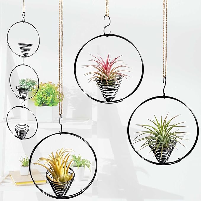 5.5" Air Plant Hangers for Ceiling & Windows, Airflow Hanging Air Plant Holder, Tillandsia Succulent Display Holders for Plant Wall - 3 pcs