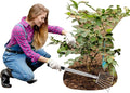 Landscape Rakes for Lawns Leaf Leaves, Small Hand Cultivator, Clam Tool for Cleaning Debris, Weeds, Grass, Pine Needle Remove in Yard, Flower Beds, Herb Rock Garden Care - Stainless Steel