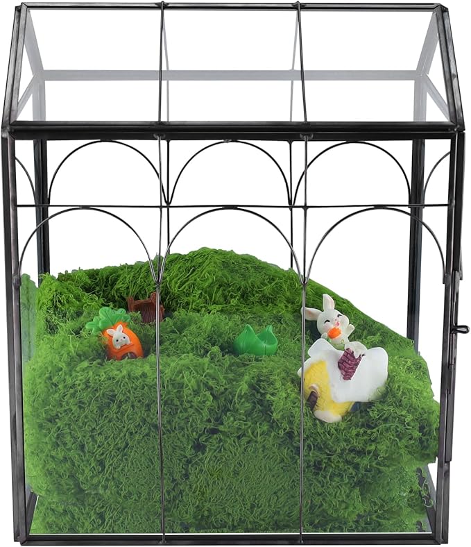 HighFree Geometric Plant Terrarium with Lid, House Succulent Terrarium Kit for Succulents Cacti Snail, Home Tabletop Miniature Terrarium (Black with Side Door)
