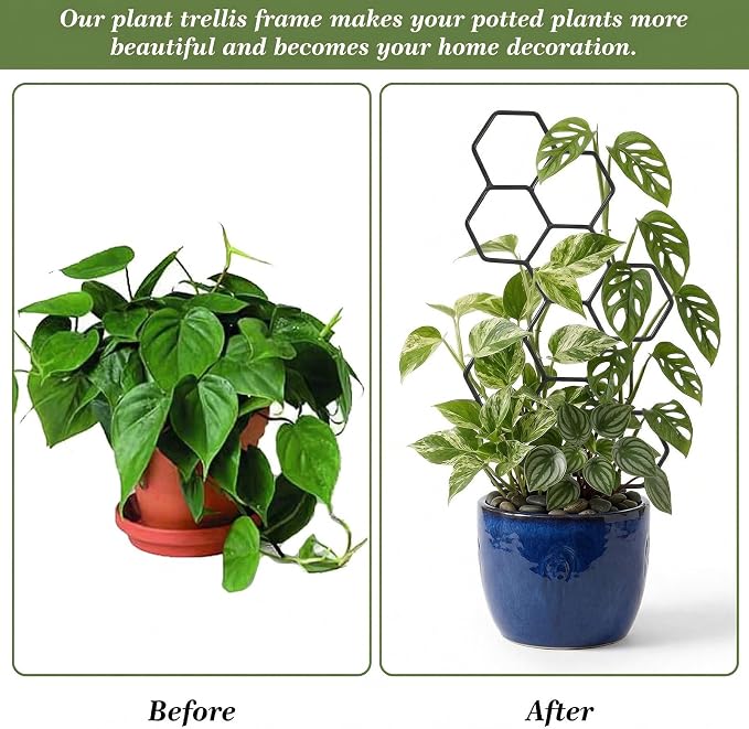 Small Trellis for Potted Plants, 14 Inch Indoor Trellis for Climbing Plants Honeycomb Shape Metal Plant Trellis for Pots Plant Climbing Support for Flower Hoya Pothos Houseplants(Black)