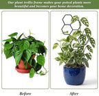 Small Trellis for Potted Plants, 14 Inch Indoor Trellis for Climbing Plants Honeycomb Shape Metal Plant Trellis for Pots Plant Climbing Support for Flower Hoya Pothos Houseplants(Black)