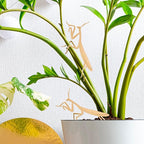 Rainteam Plant Animal Decor Brass Plant Charms for Live Plants Cute Animal Plant Hanger Ornaments for Pots Garden Plant Decorations Plant Accessories Gift for Plant Lovers (2 Mantis)