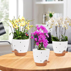 Vanslogreen 6 Inch Orchid Pots with Holes, 2 Pack Self Watering Planters for Orchids Plastic Orchid Pot Plant Flower Pots for Orchids Indoor Outdoor (White with Brown)