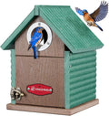 Kingsyard Recycled Plastic Bird House for Outdoors - Weatherproof Nesting Box with Clear View Panel & Predator Guard for Bluebird Wren Swallow Finch, Green