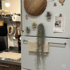 6 Pcs Air Plant Holder Magnet - Small Air Plant Display Stand Airplant Wall Mount Holder Wooden for Live Tropical Plants Home Office Decoration Supplies (Plants Not Included)