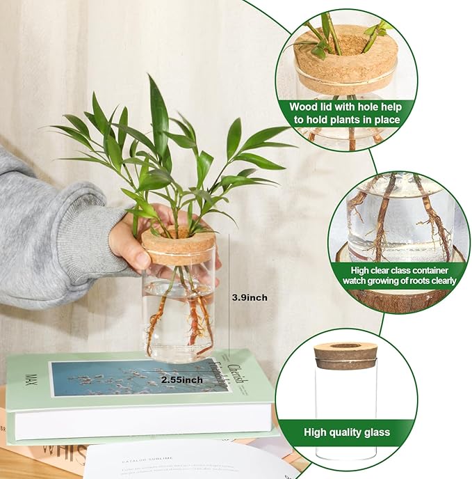 Separated Desktop Glass Flower Vases - Ideal Plants Propagation Stations for Living Room, Bedroom Decoration,Home Decor (6)