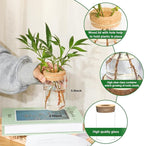 Separated Desktop Glass Flower Vases - Ideal Plants Propagation Stations for Living Room, Bedroom Decoration,Home Decor (6)