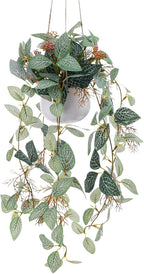 Small Artificial Hanging Plants Fake Hanging Plant with Pot Plants Indoor Decor Faux Greenery Hanging Vines Potted for Wall Home Office Bathroom Kitchen Farmhouse Decoration