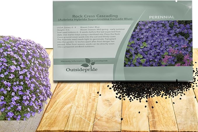 Outsidepride Cascade Blue Aubrieta Rock Cress Seeds - 1000 Pcs Perennial Flower Seeds, Easy to Grow, Low Maintenance, Cascading & Low Growing, for Baskets, Rock Walls, or Ground Covers