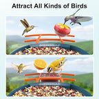 birdsnap® PAV-Bird Feeder with Camera,2K HD with 32GB Card, AI Identify Smart Bird House Cam Solar Panel,Live Stream,Motion Detection,Auto Record Video for Backyard Outdoors,Ideal Gift for Bird Lover