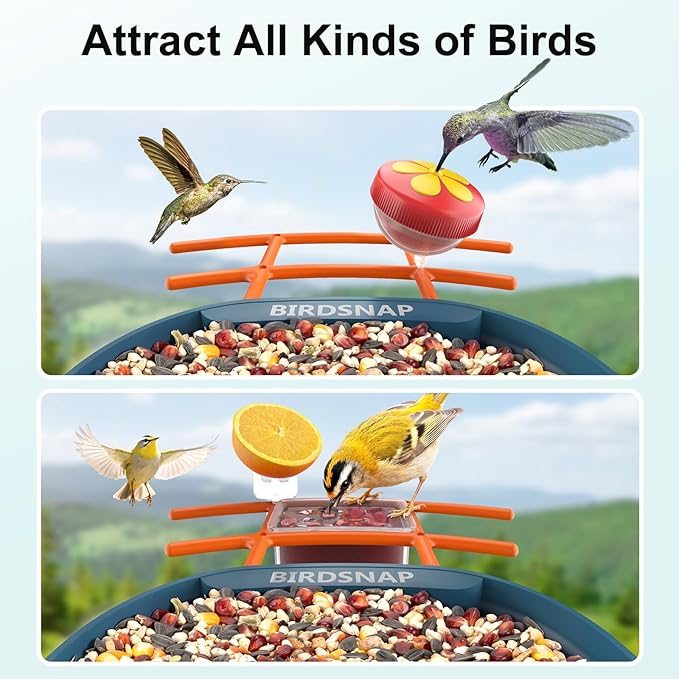 birdsnap® PAV-Bird Feeder with Camera,2K HD with 32GB Card, AI Identify Smart Bird House Cam Solar Panel,Live Stream,Motion Detection,Auto Record Video for Backyard Outdoors,Ideal Gift for Bird Lover