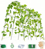 Cucumber Trellis for Raised Beds - Sturdy Arch Trellis for Peas, Beans & Climbing Plants | Outdoor Vegetable Support, Garden Trellis Kit (63" Lx30 Wx48 H)