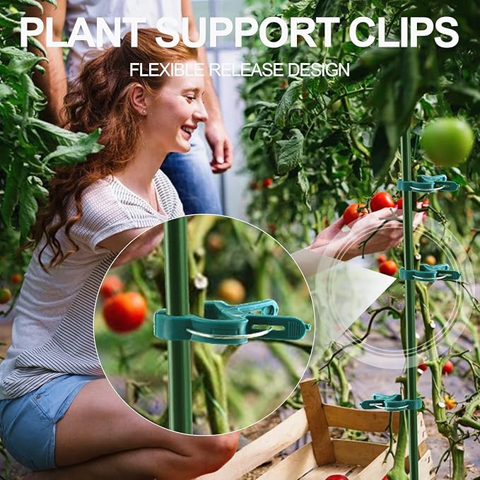 Yinghezu 30 Pcs trumpet 1 inch Plant Support Clips,Flower and Vine,Garden Tomato Plant Support Clips for Supporting Stems,Vines Grow Upright Climbing,Tool for Straightening,Tomato Cage,Trellis.