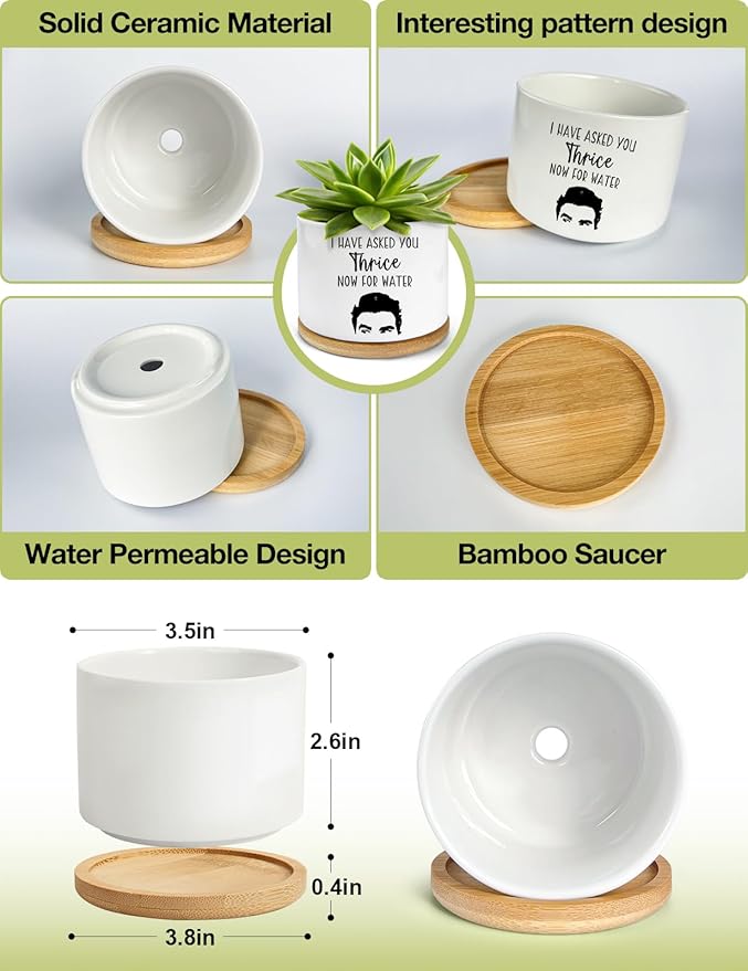 I Have Asked You Thrice Now for Water Ceramic Succulent Planter Pot, Funny Plants Pots Schitts Merchandise Gifts, for Women Mom Grandma Plant Lovers Gifts - 3.5 inch(Plant Not Included)