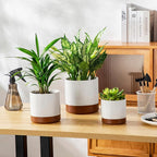 vancasso Ceramic Plant Pots, 4.25+5.25+6.25 Inch Planter Pot with Drainage Hole, Flower Pots for Indoor Outdoor Plants, Set of 3, Khaki