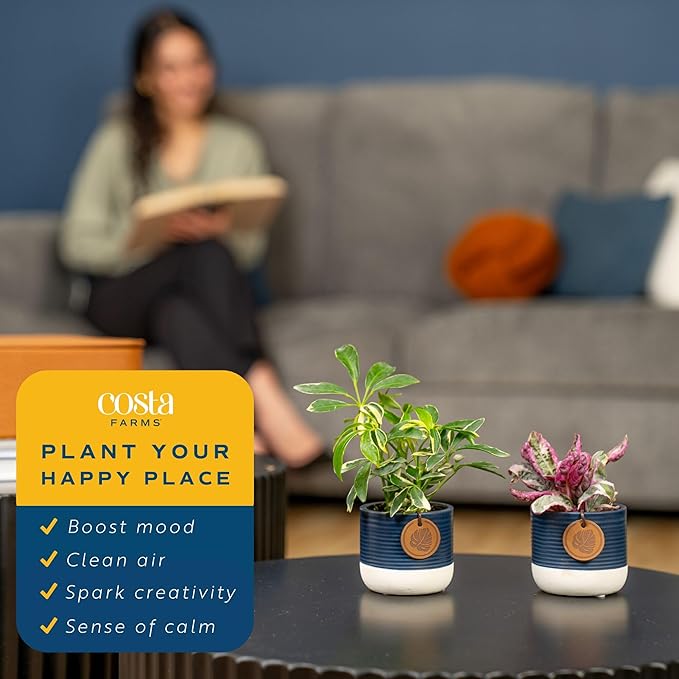 Costa Farms Mini Live Indoor Houseplants (20-Pack), Starter Plants in Nursery Pots, Assorted Foliage Mix (Varieties May Vary), Bulk Tiny Plants for DIY Terrariums, Party Favors, and Home Office Decor