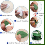 60 Pcs Plant Climbing Wall Fixture Clips Acrylic Self-Adhesive Sticker Fixer Vine Traction Invisible Holder Climbing Plant Green Leaf Vines Hook Fixing Clip Indoor Outdoor Decoration