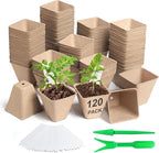 Baxrou 120 Pack 3.15 Inch Square Peat Pots for Seedlings, Seed Starting Pots with Drainage Holes Nursery Pot, Herb Seed Starter Pot Kits wit 30 Plant Labels, 2 Transplant Tools.