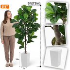 Aveyas 6ft Artificial Fiddle Leaf Fig Tree for Home Decor, 6 Feet Large Faux Plant Fake Ficus lyrata Silk Trees with Pot for Indoor Outdoor House Living Room Office (6 ft Tall Including Raised Pot)