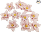10 PCS 3D Flower Ceramic Tiles,1.6" Handmade Procelain Ceramic Flowers for Artwork,Fish Tank,Vases,Living Room, Dining Table,Office, Home Floral Decor (Double-Flowered Pink)