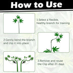 40 Pack LST Plant Training Clips – Durable & Reusable Stem Support for Low-Stress Training – Fits All Growth Stages