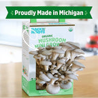 Back to the Roots Organic Mini Mushroom Grow Kit, Harvest Gourmet Oyster Mushrooms In 10 days, Top Gardening Gift, Holiday Gift, & Unique Gift