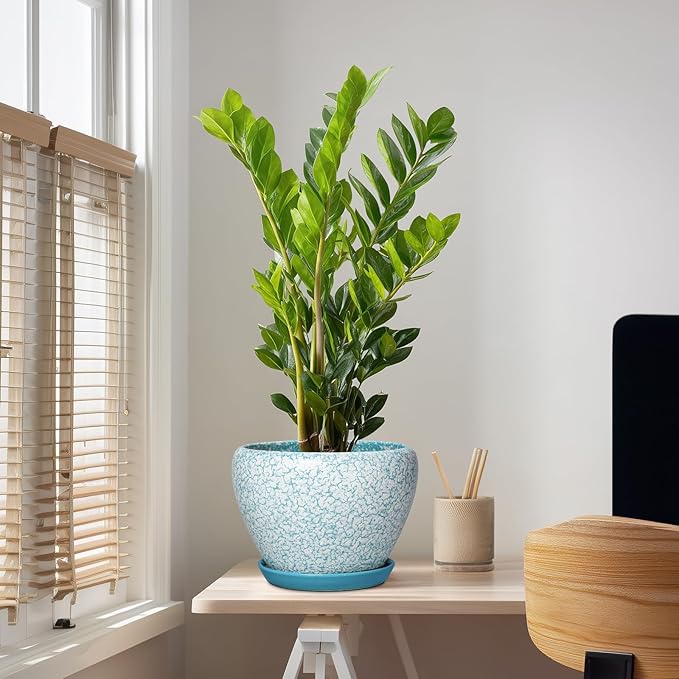 Ceramic Flower Pots - 10 Inch Ceramic Planter with Drainage Hole and Tray, Large Planters for Indoor Outdoor Plants, Decorative Planter, Living Room Decor, Plant Lover Gifts, Crackle Blue