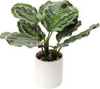 Briful Artificial Potted Plants 13" Green Faux Plants Indoor Small Fake Plant Decor for Home Table Office House Bathroom Shelf Living Room Desk Decoration