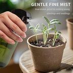 Cleaning Spray Bottles for Plants Misters Inside, 2 Pack 16.9 oz Squirt, Water Spray Bottle Mist Sprayer, No Leak Hair Mister Empty Adjustable Nozzle (Green)