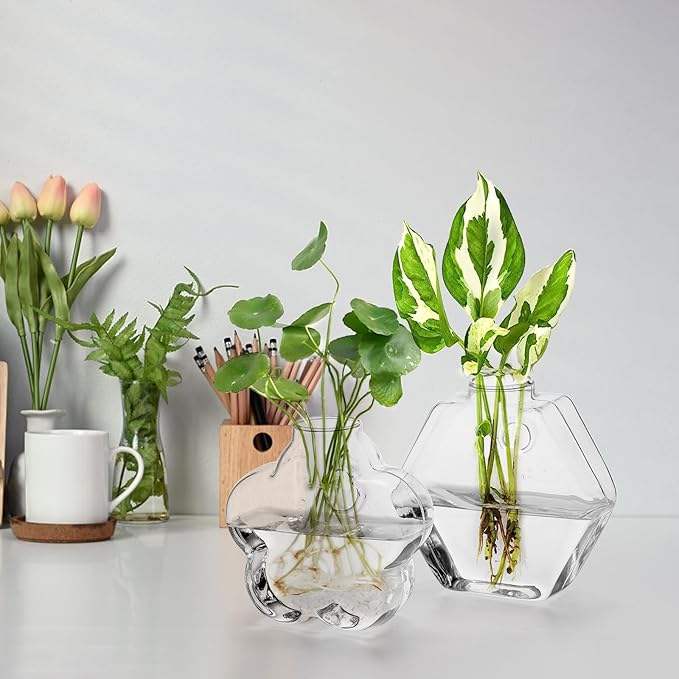 yarlung Set of 6 Wall Hanging Planter Terrarium, Clear Glass Plant Vase Wall Mount for Propagating Hydroponics Plant, Indoor Air Plants, Stylish 6 Shapes (Plants Not Included)