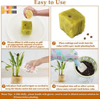 Legigo 1 Inch Rockwool Cubes Seed Starter Plugs for Hydroponics, RockWool Planting Grow Cubes for Hydroponic Tower Garden Soilless Cultivation Plants Germination Cutting Clone (4 Sheet, 200 Plugs)