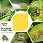Qualirey 20 Pcs 6x8 Inch Yellow Sticky Traps for Gnats, Dual-Sided Sticky Gnat Traps for Indoor Outdoor Plants, Pest Control for Fungus Gnats, Fruit Flies, Whiteflies with Twist Ties
