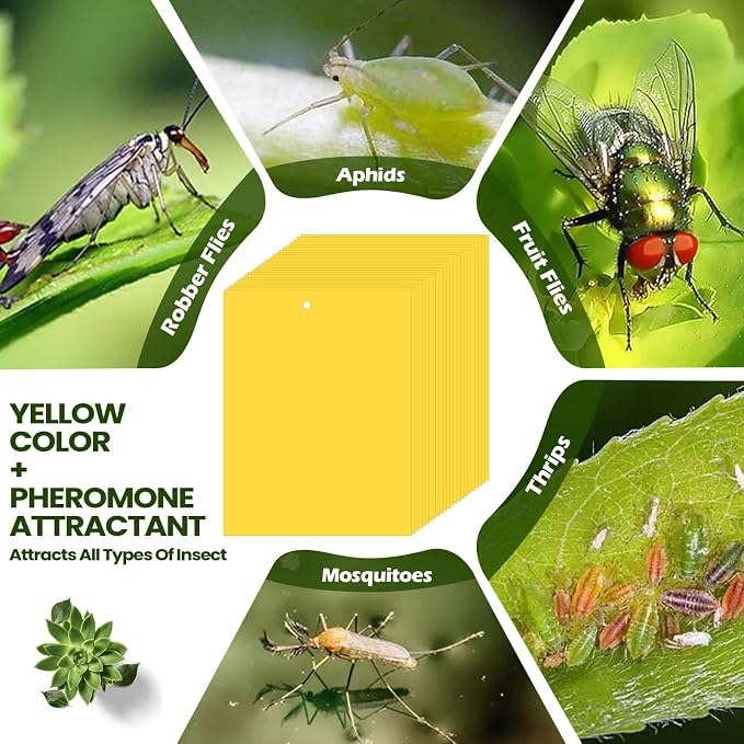 Qualirey 20 Pcs 6x8 Inch Yellow Sticky Traps for Gnats, Dual-Sided Sticky Gnat Traps for Indoor Outdoor Plants, Pest Control for Fungus Gnats, Fruit Flies, Whiteflies with Twist Ties