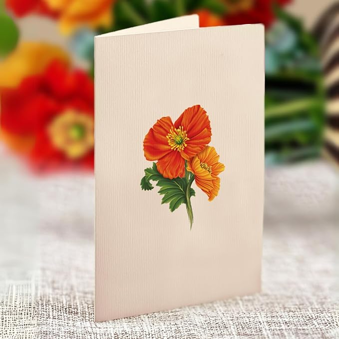 Freshcut Paper Pop Up Cards, Mini French Poppies, 6 Inch Mini Sized Forever Flower Bouquet 3D Popup Greeting Cards, Birthday Cards, Thank You Card, Blank Notecard & Envelope